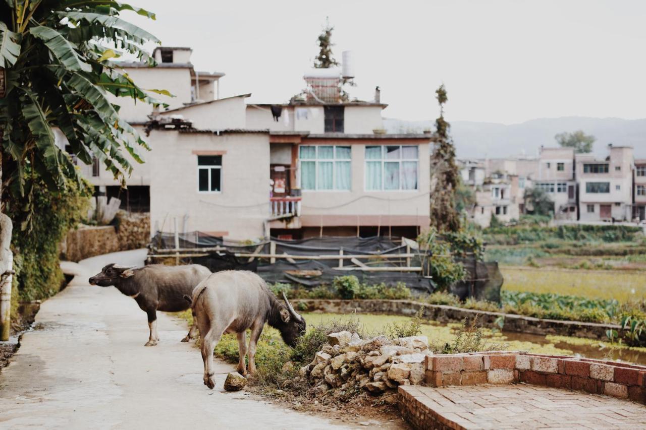 יוניאנג The Twelve Manor•Terraces Lodge מראה חיצוני תמונה